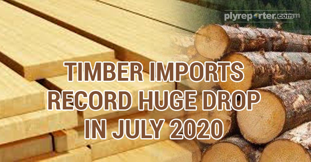 20200901035113_Timber-Imports-Record-Huge-Drop1.jpg