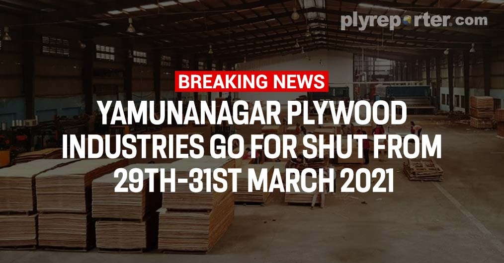 20210324004135_yamunanagar-plywood.jpeg