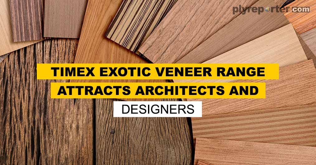 20210909053855_Timex-Exotic-Veneer-Range-Attracts-Architects-and-Designers.jpg
