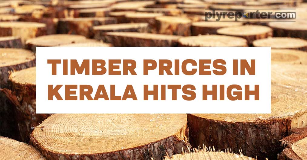 20211230022748_44-TIMBER-PRICES-IN.jpg