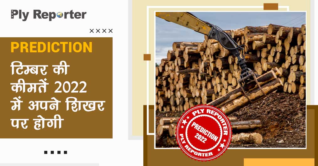 20220227231829_48-timber-hindi.jpg