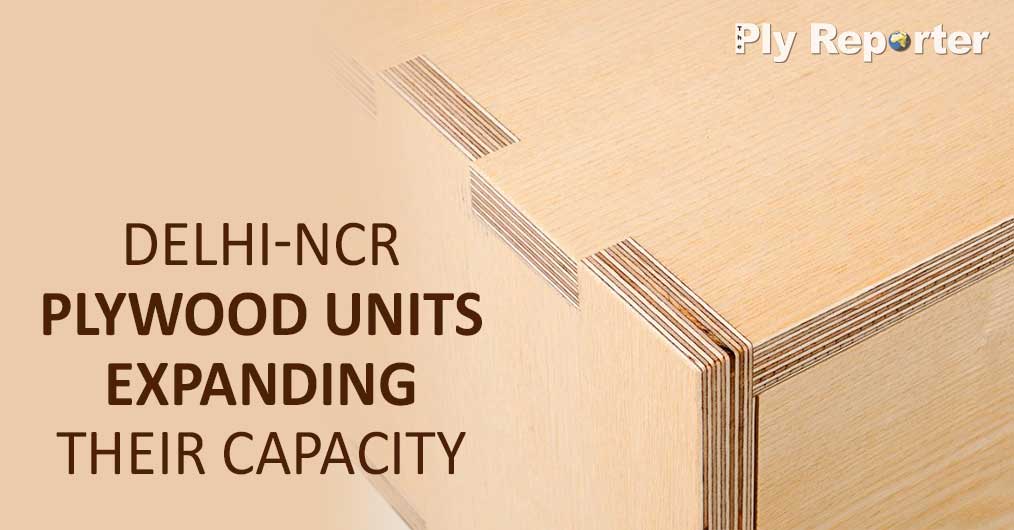 20220509034708_56-DELHI-NCR-PLYWOOD.jpg