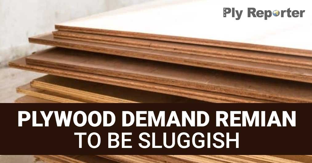 20220704025528_Plywood-Demand.jpeg