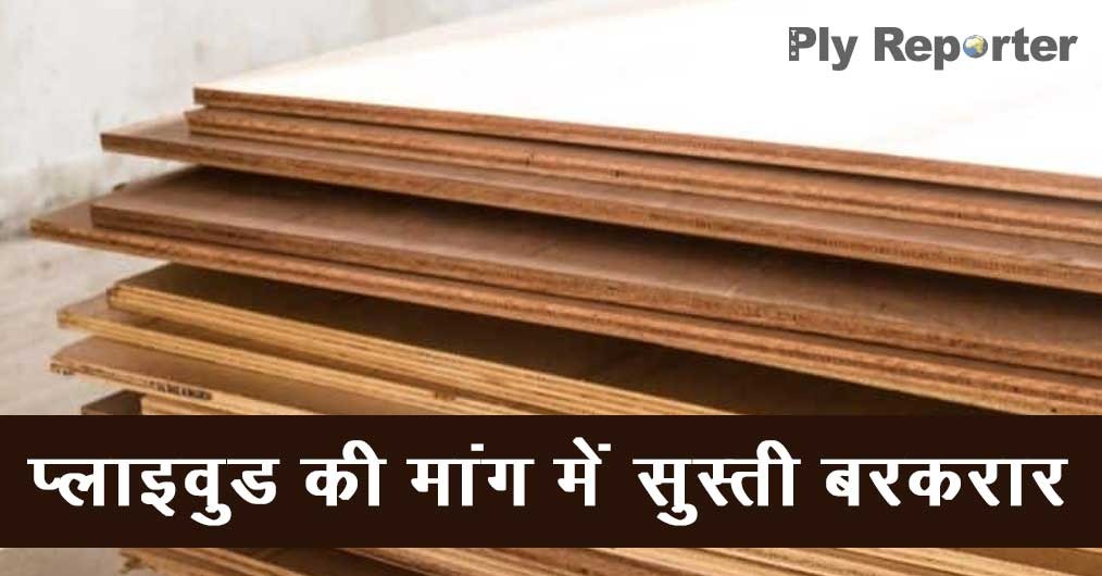 20220704025556_Plywood-Demandhindi.jpeg