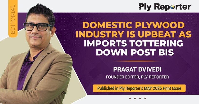 20250527000402_Domestic_Plywood_Industry_English.jpeg