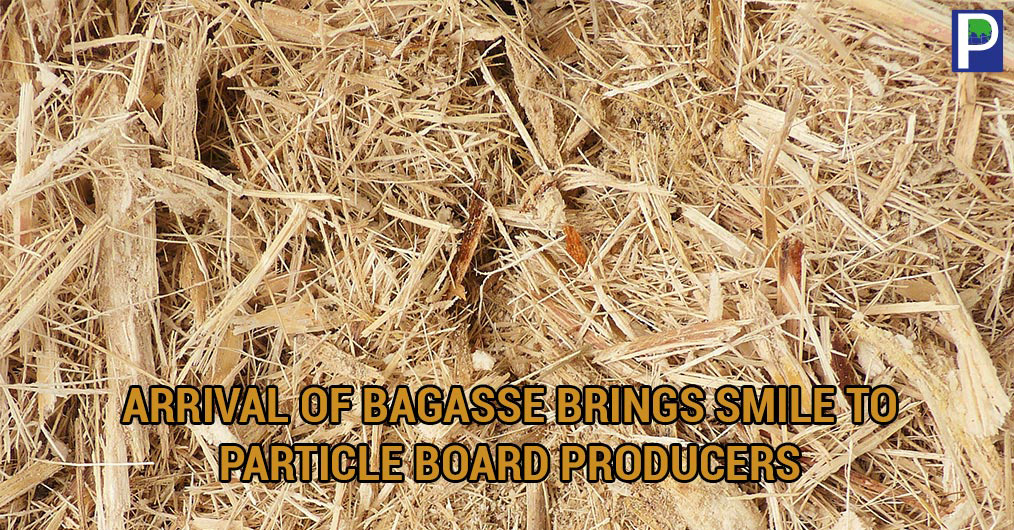 Arrival-of-Bagasse.jpg