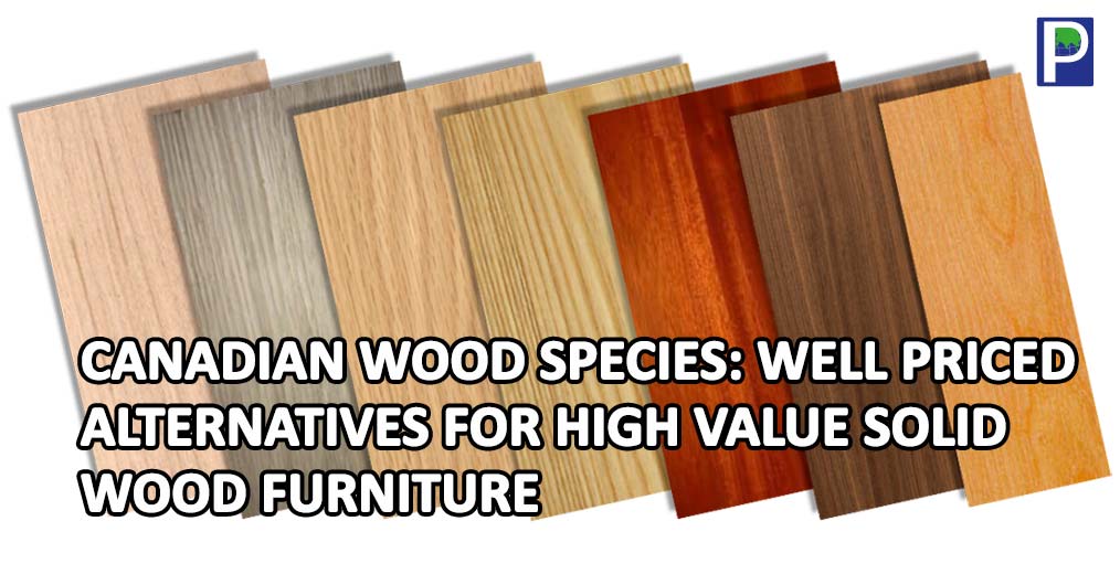 Canadian-Wood-Species.jpg
