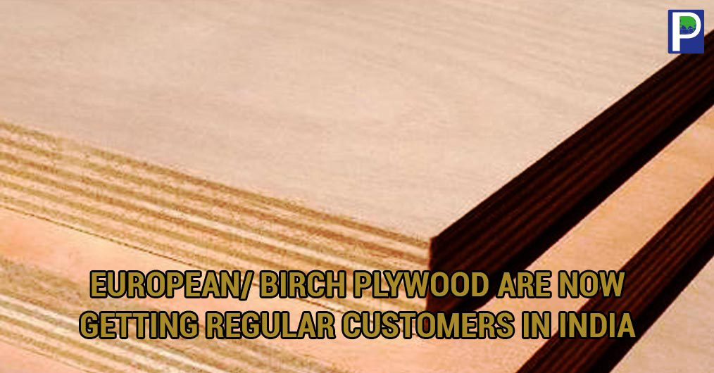 European-Birch-Plywood.jpg