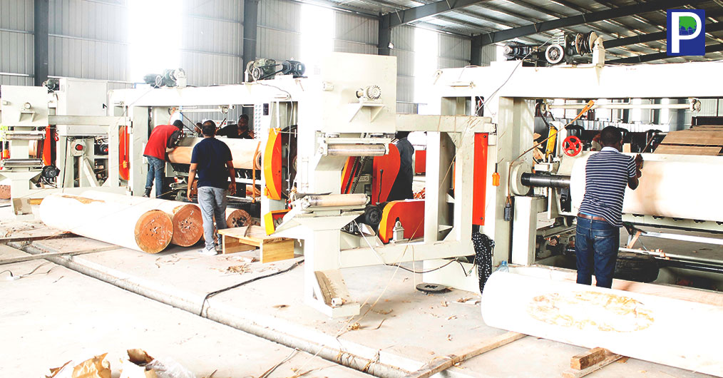 Gabon Sees  Plywood Manufacturing.jpg