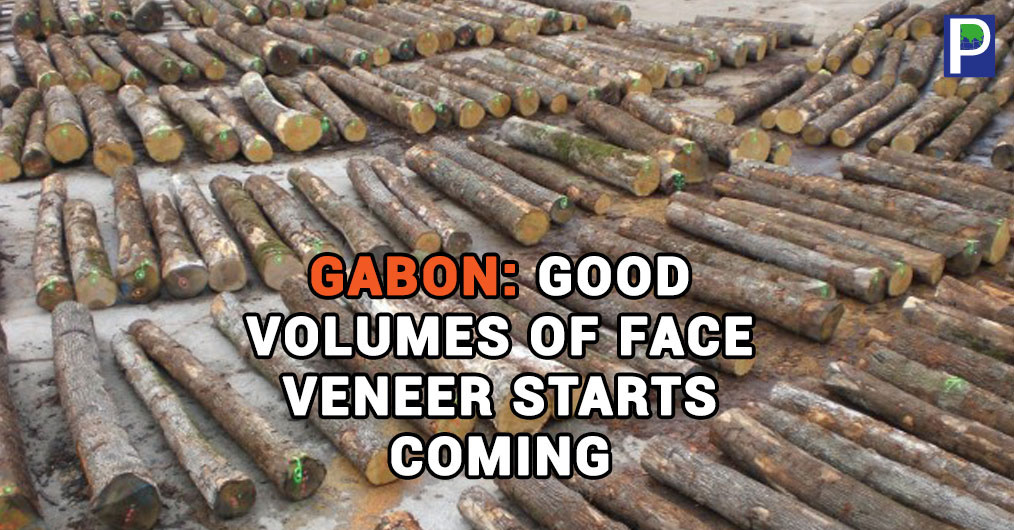 Gabon-Good-volumes.jpg