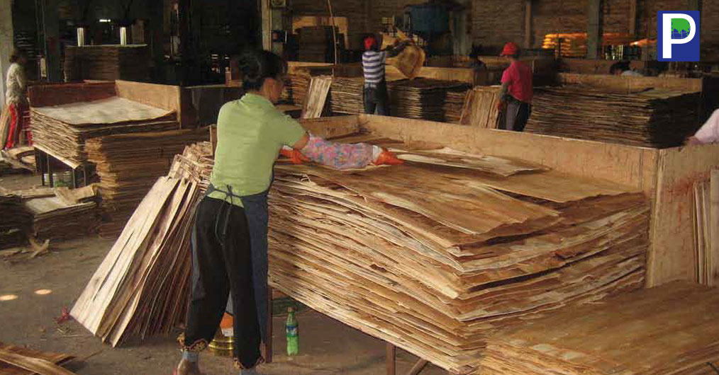 Indian-Plywood-Industry (1).jpg