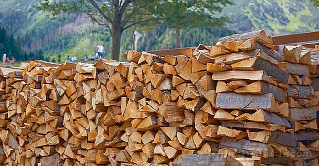 LOGSandSAWNTimberImport.jpg