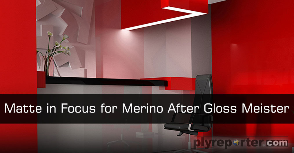 Matte-in-Focus-for-Merino-Gloss-Meister.jpg