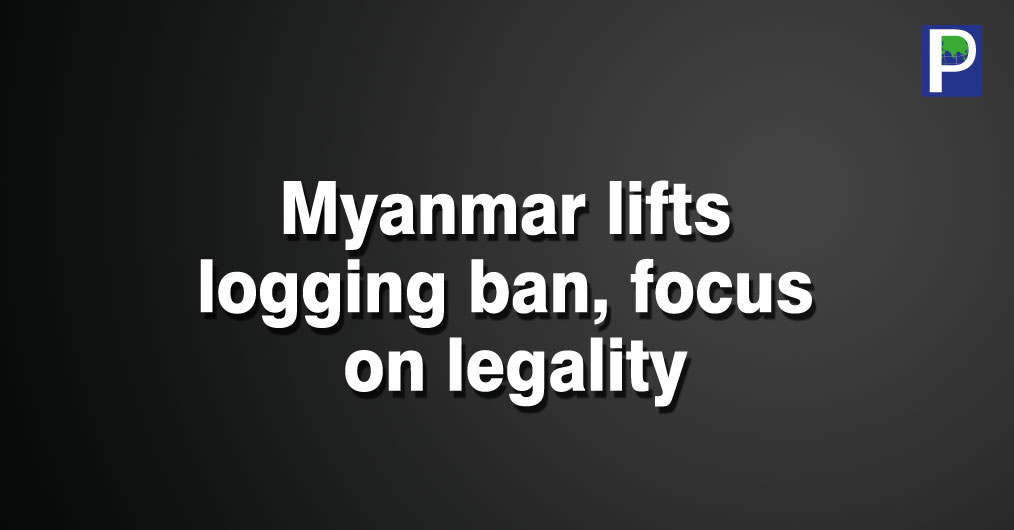 Myanmar-lifts-logging-ban,-focus-on-legality.jpg