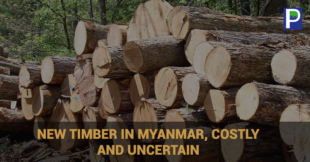 New-Timber-iN-myaNmar.jpg