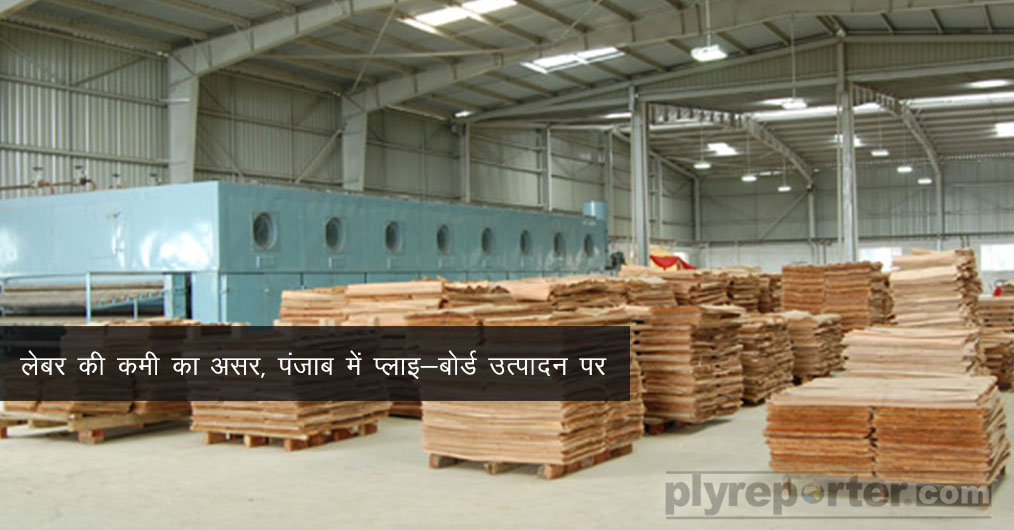 Plyboard-Production-in-Punjab.jpg