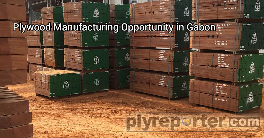 Plywood-Manufacturing-Opportunity-in-Gabon.jpg