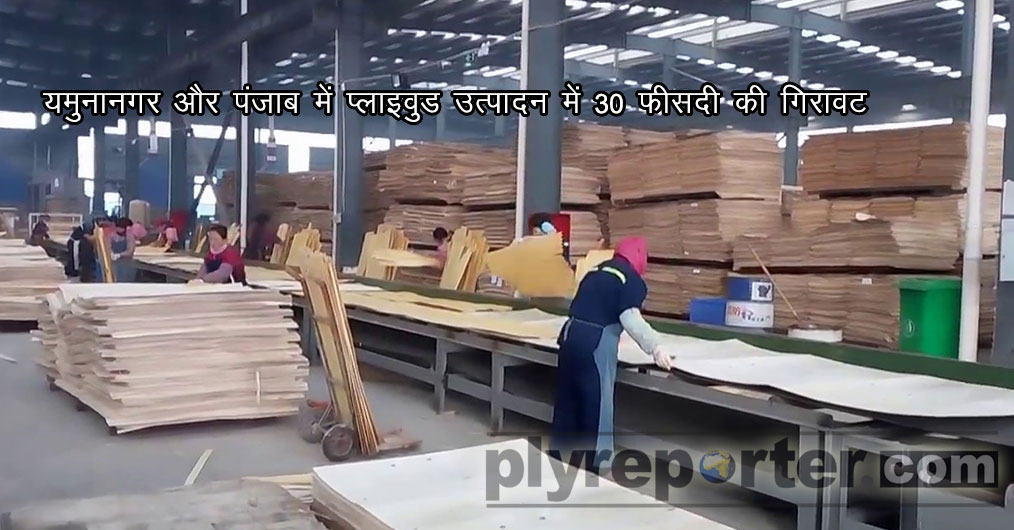 Plywood-production-dips-hindi.jpg