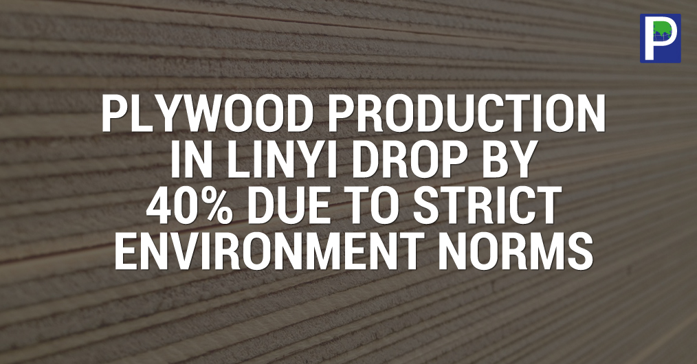 Plywood-production.jpg