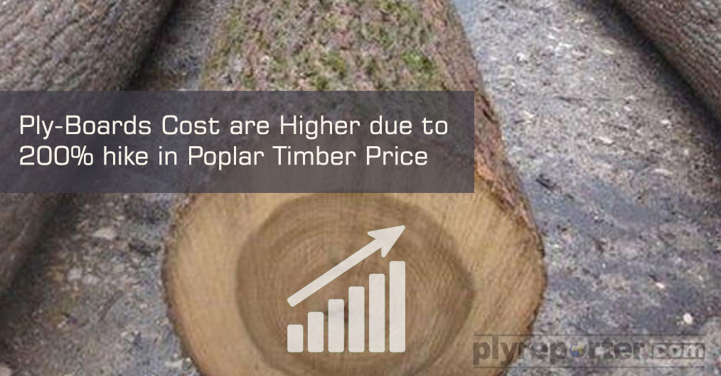 Poplar-Timber-Price1.jpg