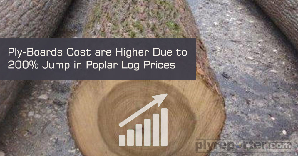 Poplar-Timber-Price2019.jpg