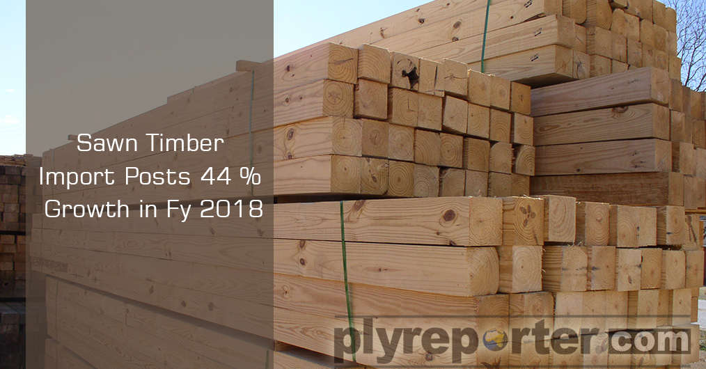 Sawn-Timber--Import-Posts.jpg