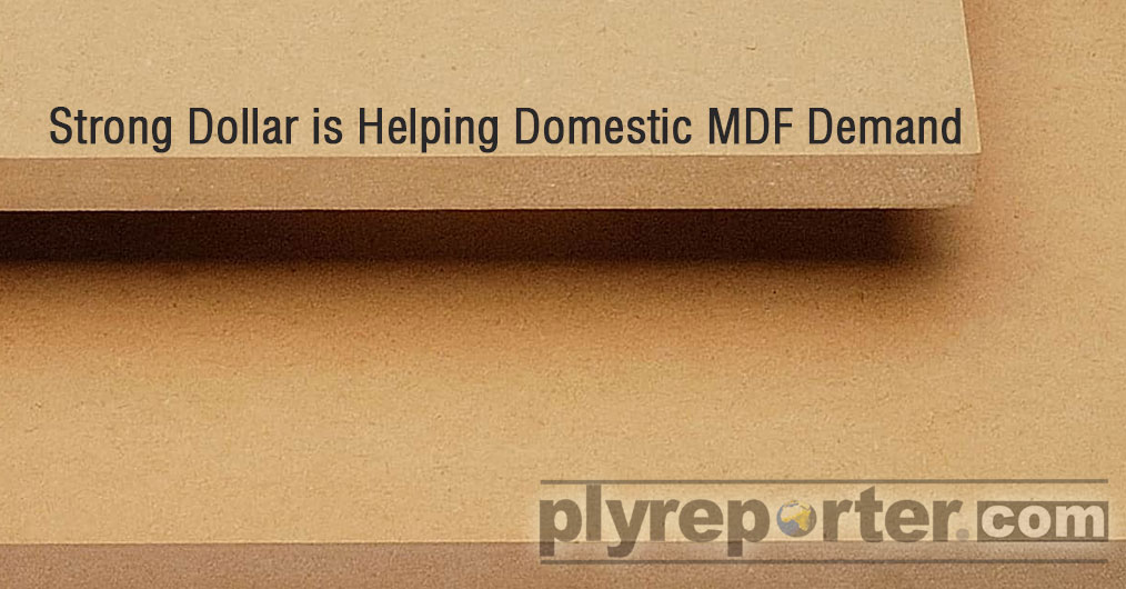 Strong-Dollar-is-Helping-Domestic-MDF-Demand.jpg