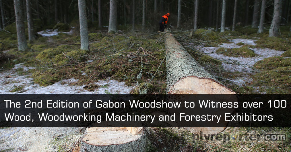 The-2nd-Edition-of-Gabon-Woodshow.jpg