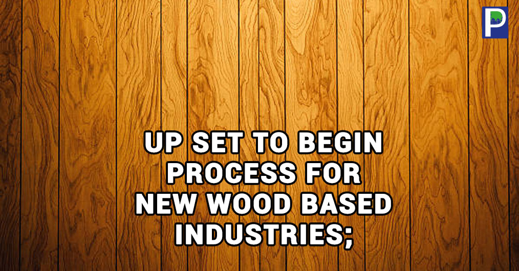 wood based industries in india