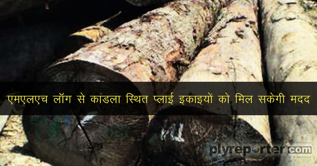 mlh-wood-logs-500x500-hindi.jpg