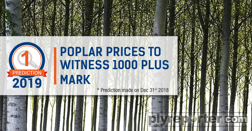 poplar-prices.jpg