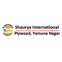 Shaurya International Plywood Logo