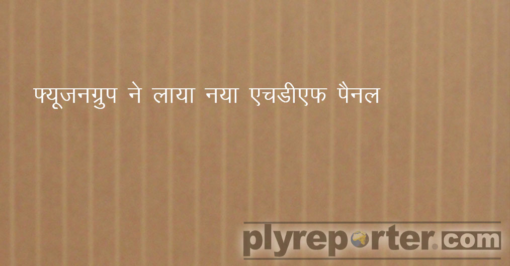 HDF-Panel-hindi.jpg