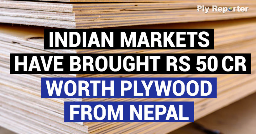 Indian Markets have brought Rs 50cr worth Plywood from Nepal