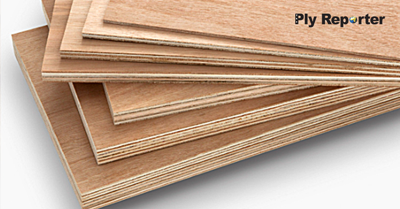 DPIIT Cautioned CBIC about Illegal Plywood Import at Indo-Nepal Border
