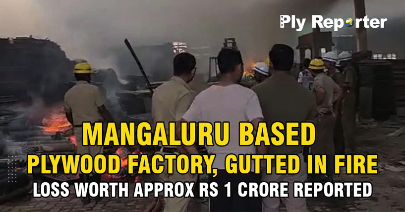 Mangaluru Based Plywood Factory, Gutted in Fire Loss Worth Approx Rs 1 Crore Reported