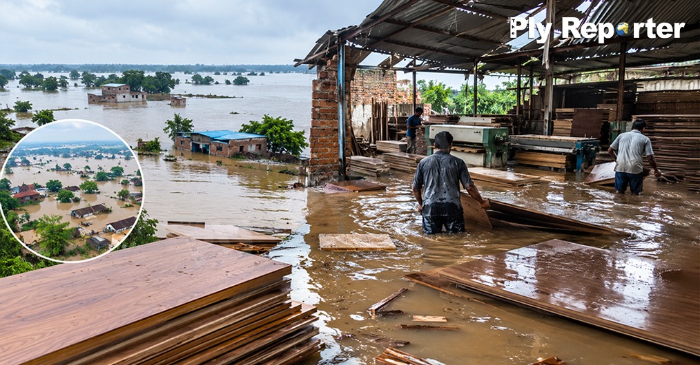 Flood Hit Bihar Wreaks HAVOVC For Small Wood Panel Industries