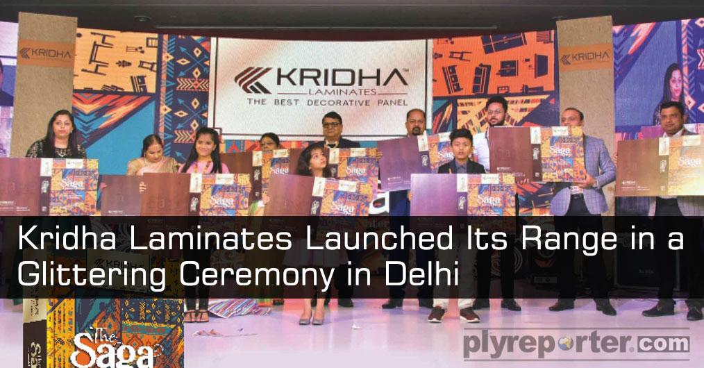 Ply Reporter | Latest News on Plywood & Industry Insights